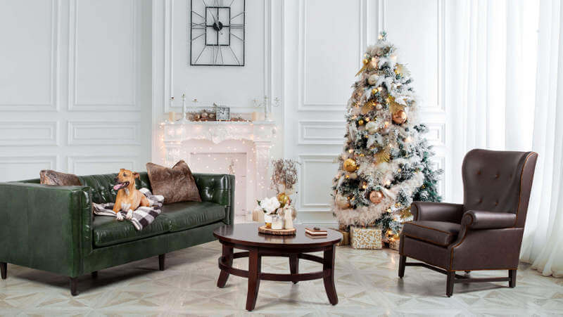 Leather Furniture: Holidays