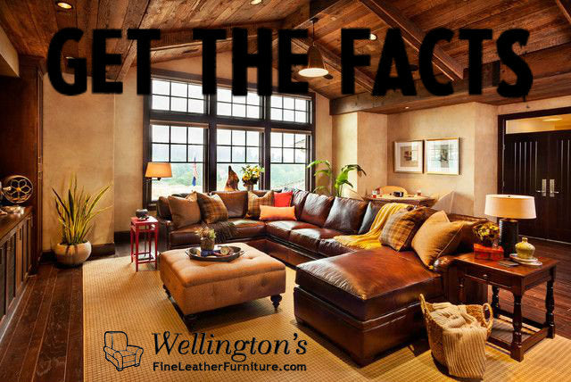Leather Furniture Facts