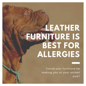 Leather Best for Allergies