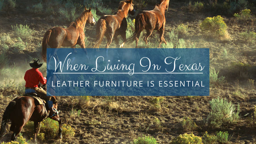 When Living in Texas - Leather Furniture