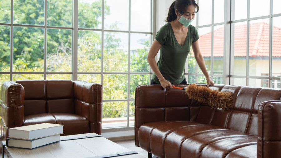 Cleaning Leather Furniture