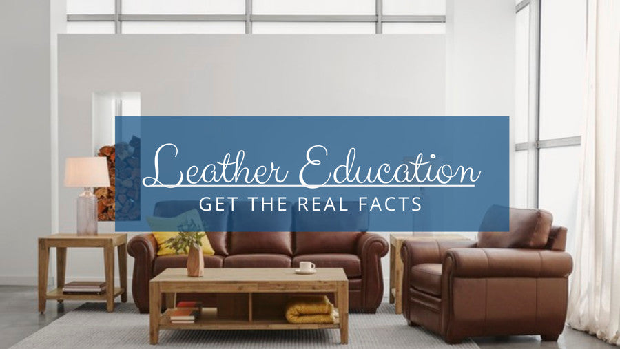 Leather Education Facts
