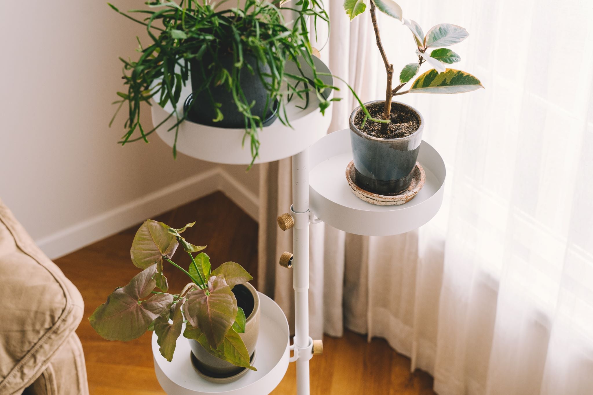 Add Greenery to Your Space with Draw A Line