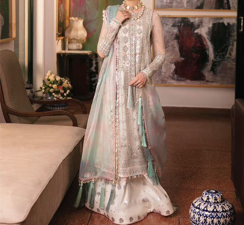 Pakistani Gorgeous Suit: A Timeless Fusion of Traditional and Modern F