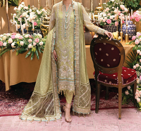 Pakistani Gorgeous Suit