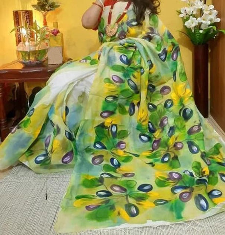 colorful saree