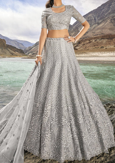 New Collection Of Net Lehenga Choli – Krishav Tex Creation Pvt Ltd