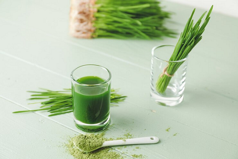 Grainic Organic Wheatgrass Powder