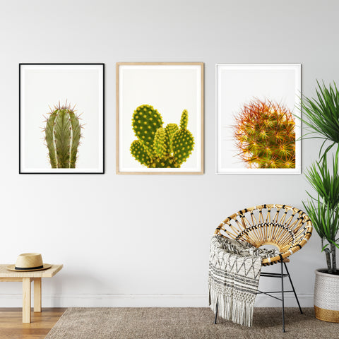 Choosing a Frame for a Landscape Print: How To - Practical Guide