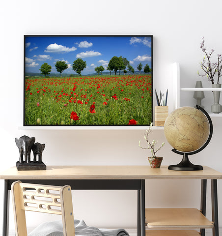 Freedom inspired office wall art of a field of poppy flowers