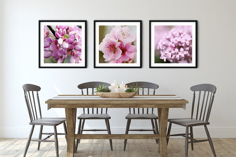 Pink Spring Flower Set | Fine Art Photo Print