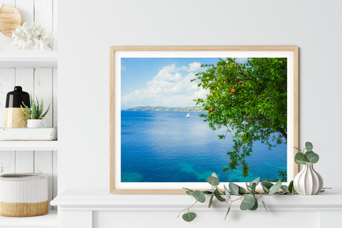 Greek chic art print of a divine pomegranate tree