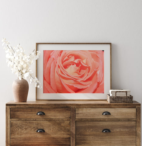 Orange Rose | Fine-Art-Fotografie-Druck