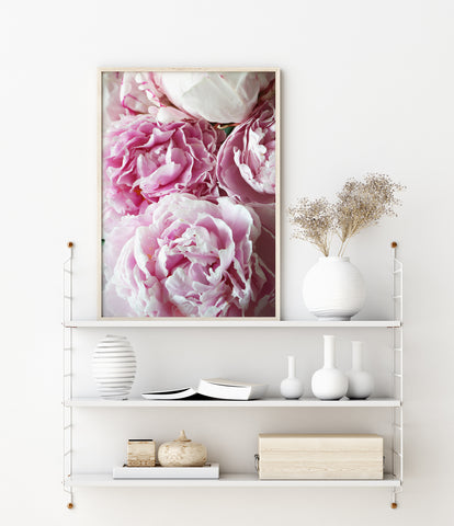 Flower photography print of a bouquet of pink peonies