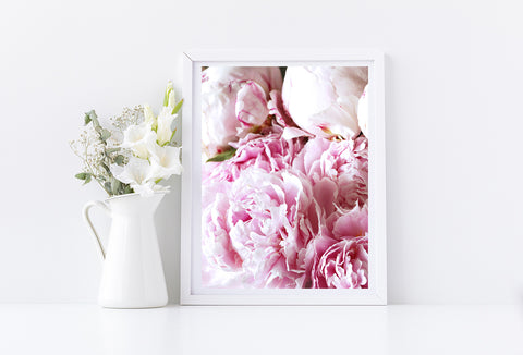 Blush Pink Peonies Fine Art Photo Print