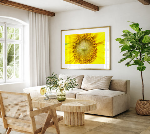 Sonnenblume | Fine-Art-Fotografie-Druck