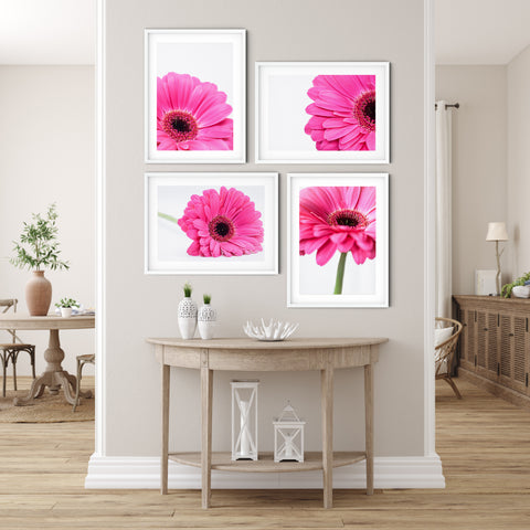 Pink Daisies Gallery Wall II | Fine Art Photo Print Set