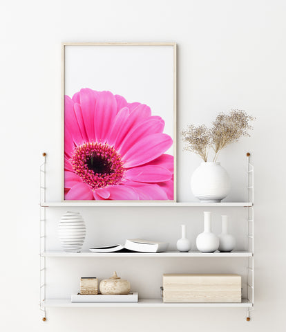 Pink Daisy Flower Print