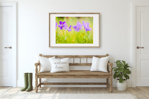 Purple Violets | Fine Art Photography Print