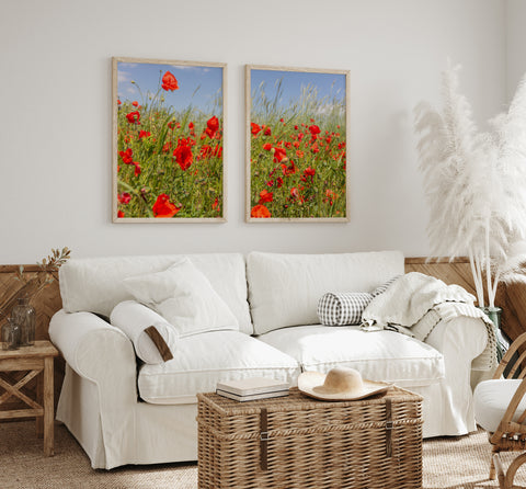 Red Poppy Field Gallery Wall | Fine Art Photo Print Set