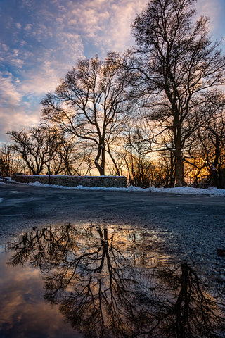 Winter landscape photography of trees reflecting in a water puddle