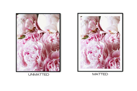 Pink Peonies V | Fine Art Photo Print