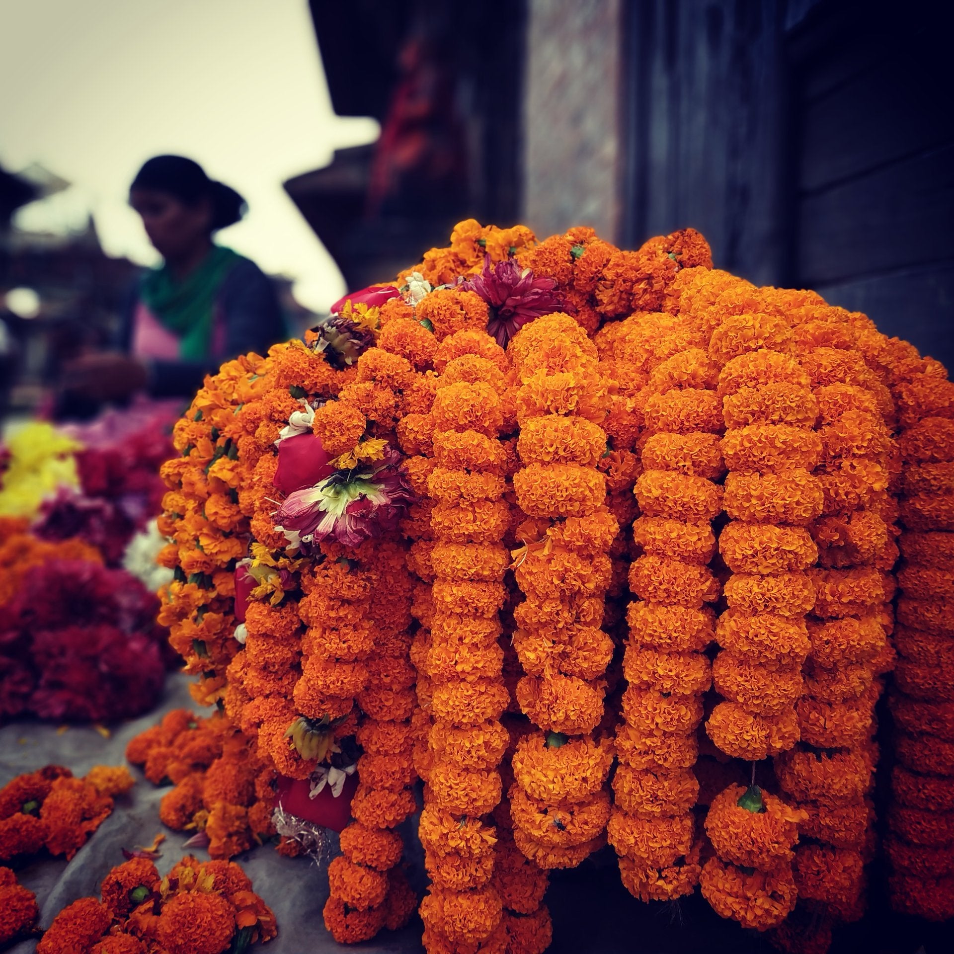Traditional Flowers marigold used in Pookalam and Their Cultural Relevance