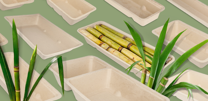 Sugarcane snack containers