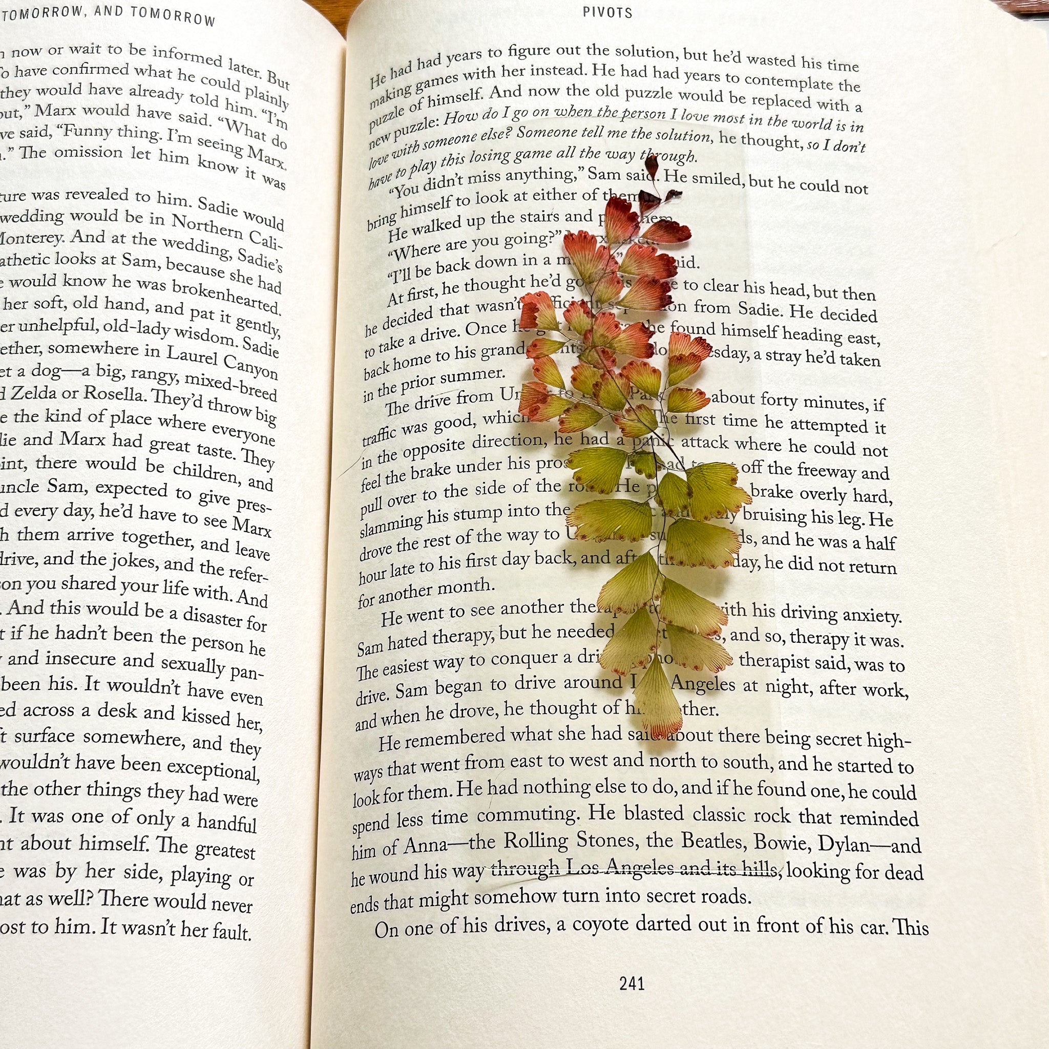 "passion project" bookmark