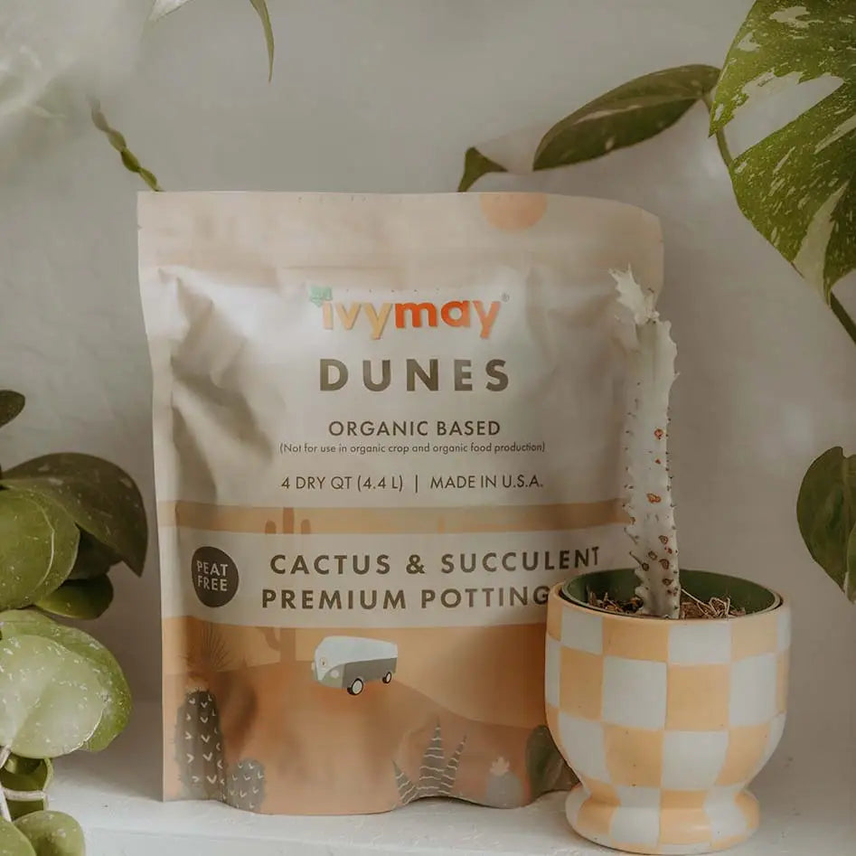 Cactus + Succulent Potting Mix