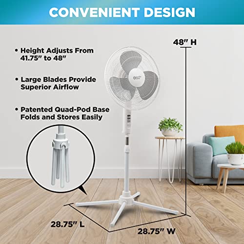  Comfort Zone 12” 3-Speed Oscillating Table Fan with Adjustable  Tilt, Convenient Push Button Controls, Quiet Operation, Ideal for Home,  Bedroom, Dorm & Office, CZ121WT : Home & Kitchen