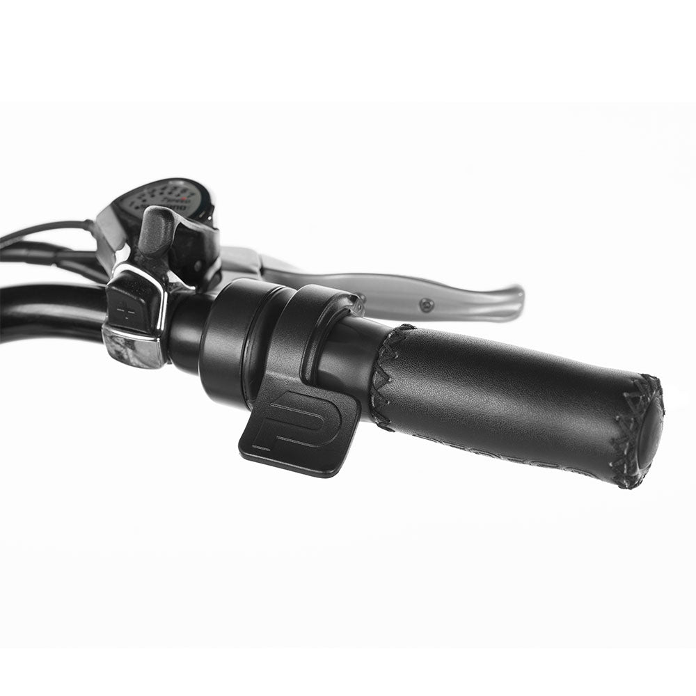 Pedego Strong E-Bike Chain Lock