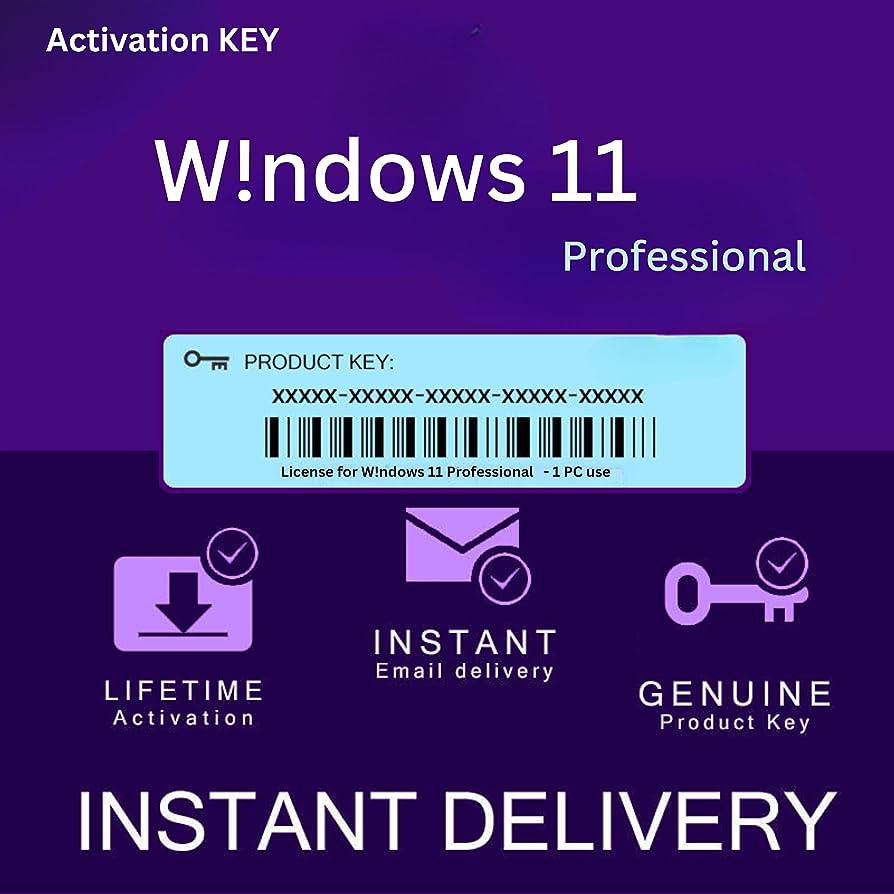 Microsoft Windows 11 PRO 64 BIT OEM DVD with Activation Key