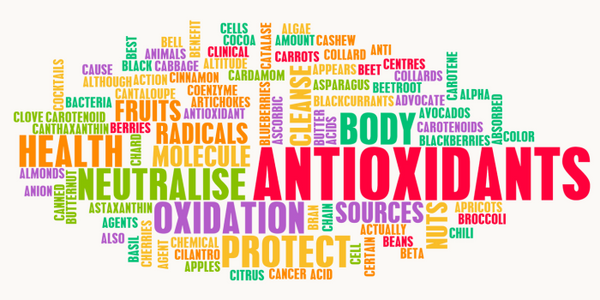 how antioxidants support brain health