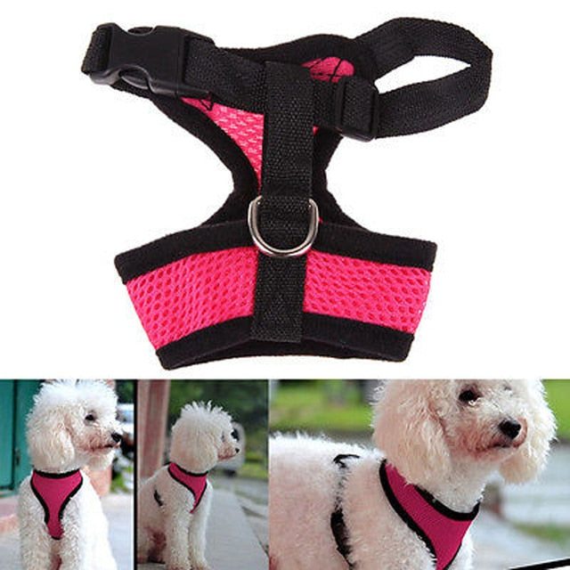 Adjustable Soft Nylon Chest Strap for Dogs