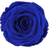 Blaue stabilisierte ewige Rose