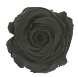 Schwarze stabilisierte ewige Rose