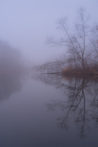 On a foggy blue morning before sunrise, trees and grasses are reflected in the still waters of Drake Lake.