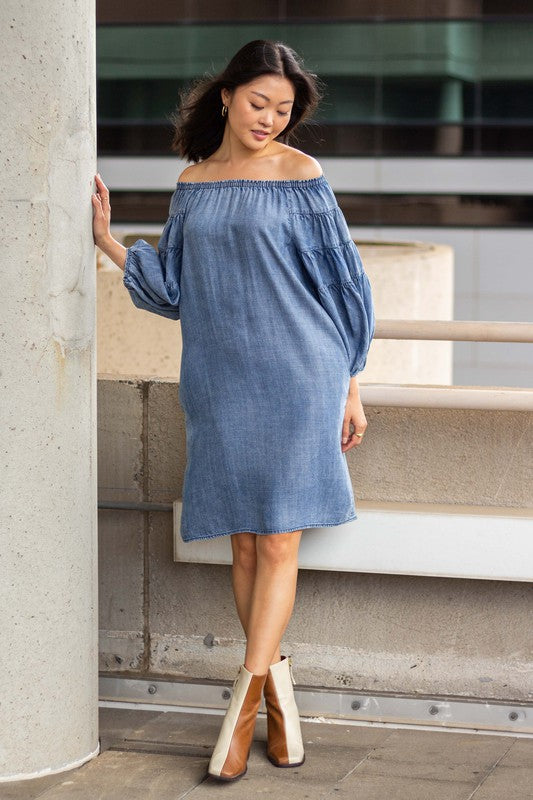 herlipto Tencel Denim Long Dress | thelofttown.com