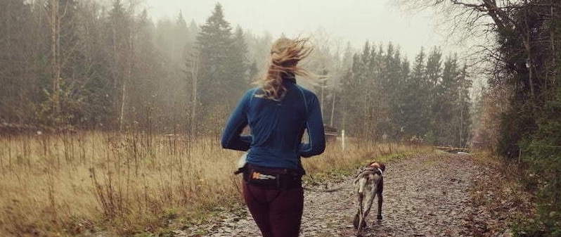 Polkujuoksua koiran kanssa: Sipoonkorpi Trailrun 14km – 