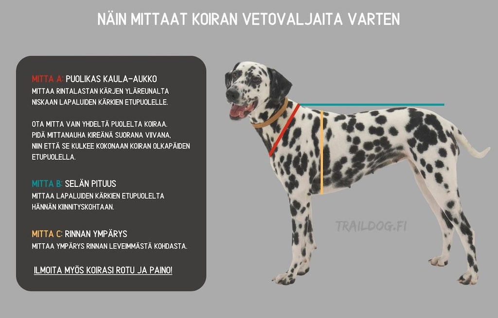 ohjeet koiran mittaamiseen vetovaljaita varten
