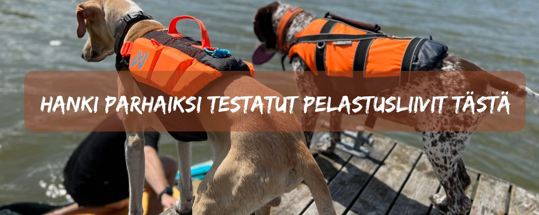 katso tästä parhaiksi testatut pelastusliivitmallit koirille