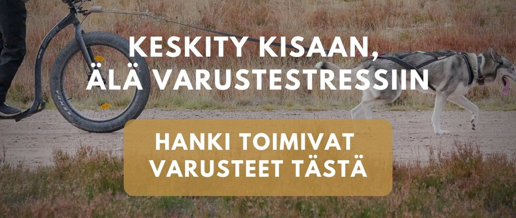 kisahyväksytyt varusteet valjakkourheiluun