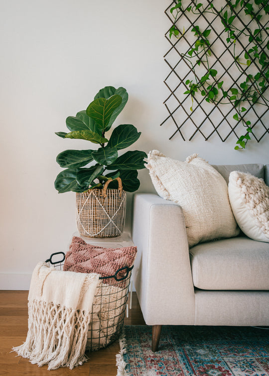 ORANA HOME | Plant-Inspired Home Decor