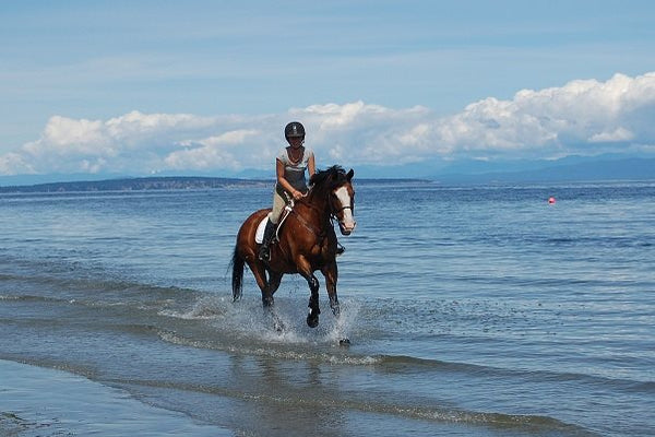 Horse Beach Vancouver Island 