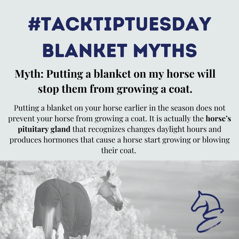 Tack Tip Tuesday Blanketing Myths 