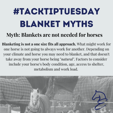 Tack Tip Tuesday Blanketing Myths 