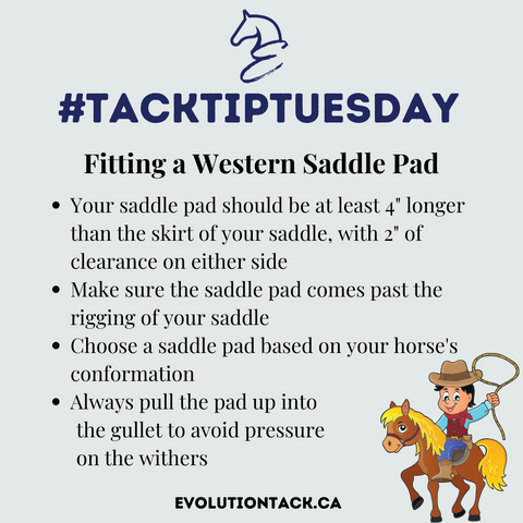 Tack Tip Tuesday Western Saddle pad