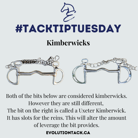Kimberwick Bit Tack Tip Tuesday