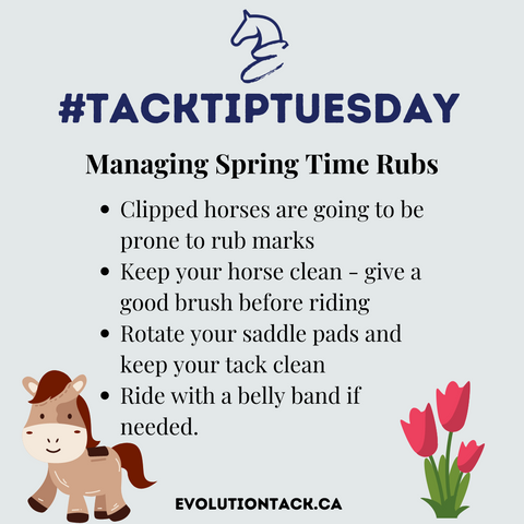 Tack Tip Tuesday Spring Time Rubs